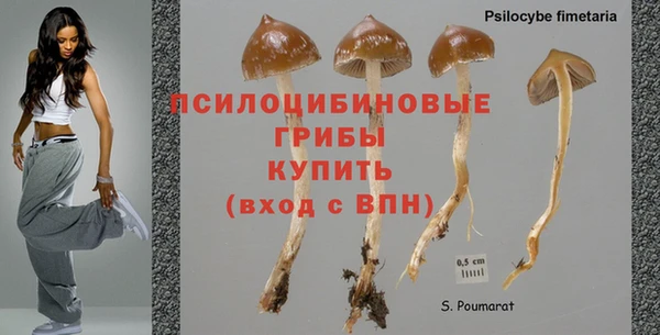ALPHA PVP Арсеньев