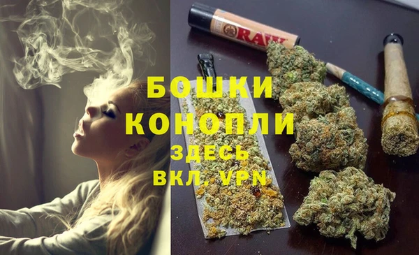 дживик Аркадак