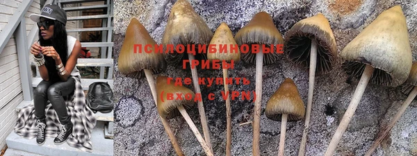 ALPHA PVP Арсеньев