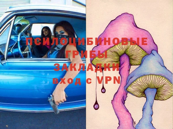герыч Мегион
