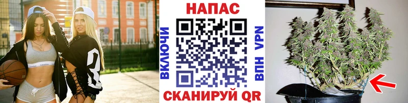 Канабис Amnesia Багратионовск